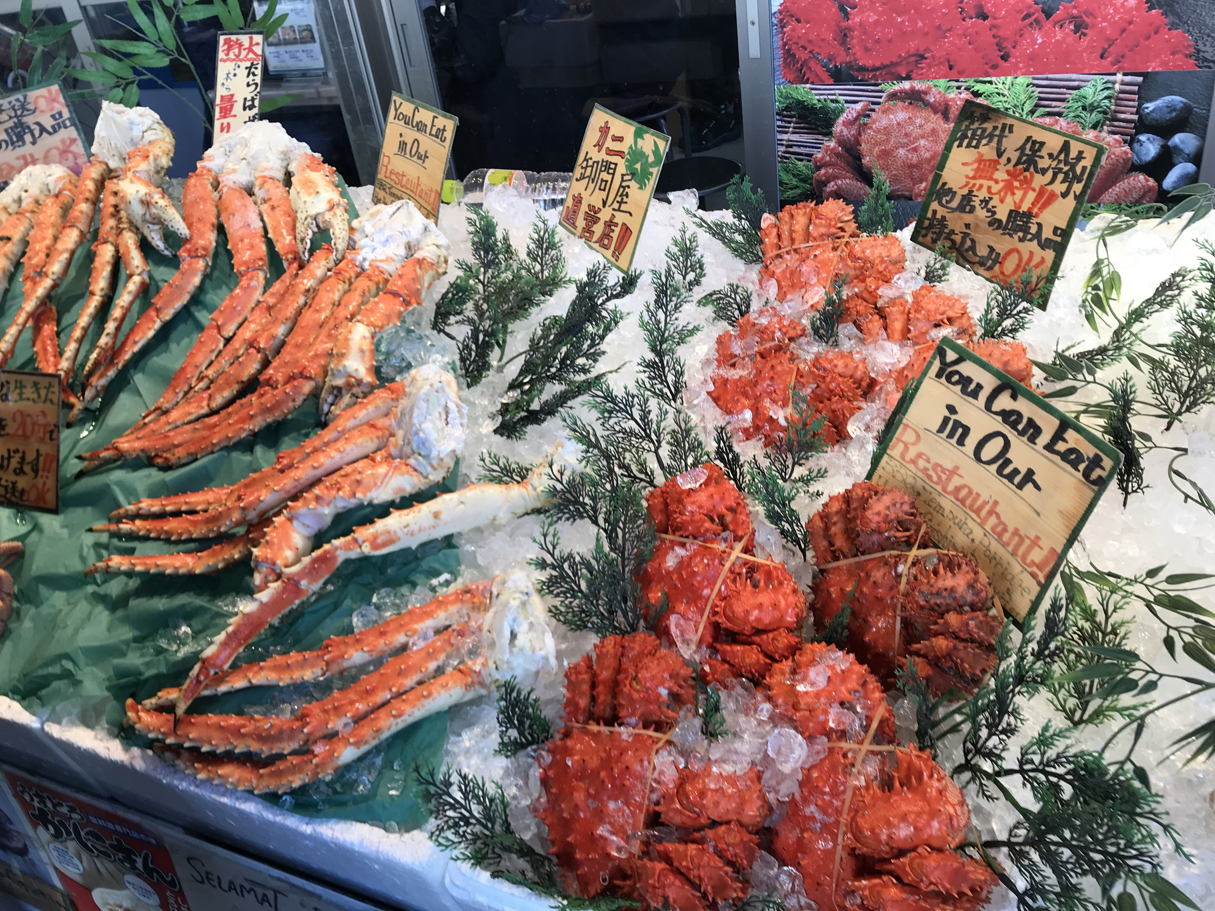 札幌 二条市場 生牡蠣など新鮮な海の幸を食べ歩きできる 札幌市民の台所 札幌旅行記 10